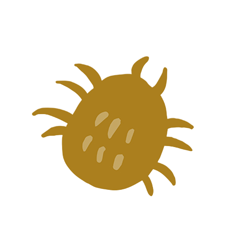 ダニのイラスト